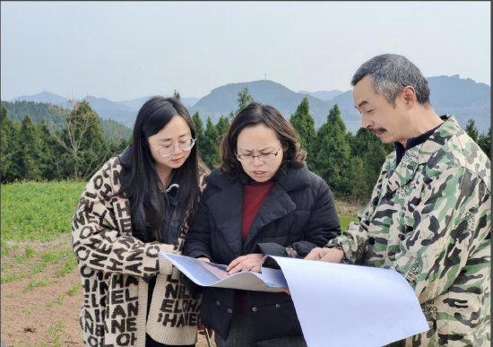 镇党委书记李琪带队到村进行种粮规划