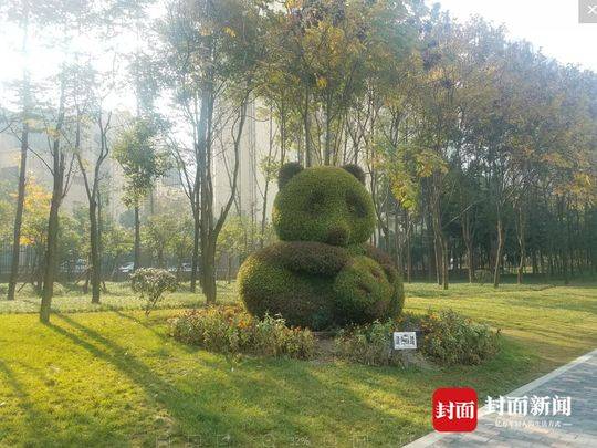 成都三环路熊猫绿道本月底将正式与市民见面