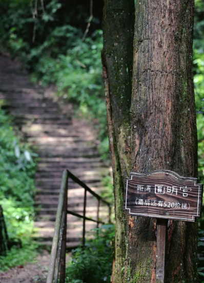 图据/青城山都江堰