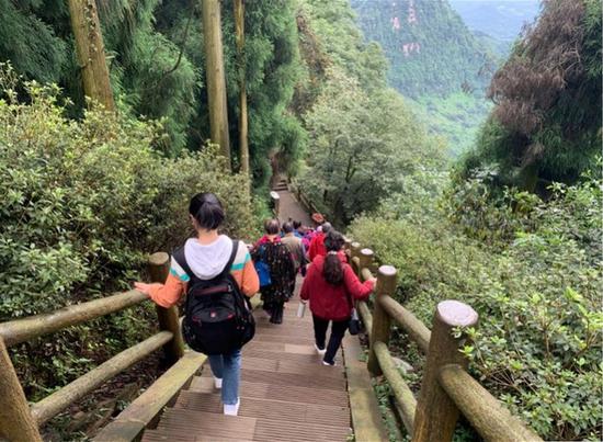 游客走在森林康养步道。图片来源:玉屏山森林康养基地