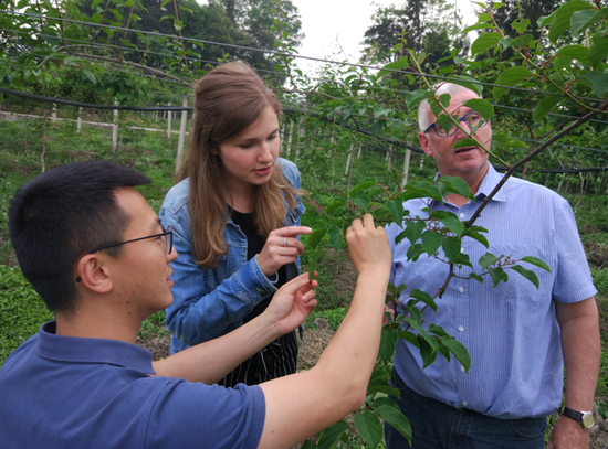 同国外专家开展软枣猕猴桃种植技术合作交流