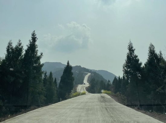 在达州通川，一条花路构筑起一条产业环线 ｜走花路