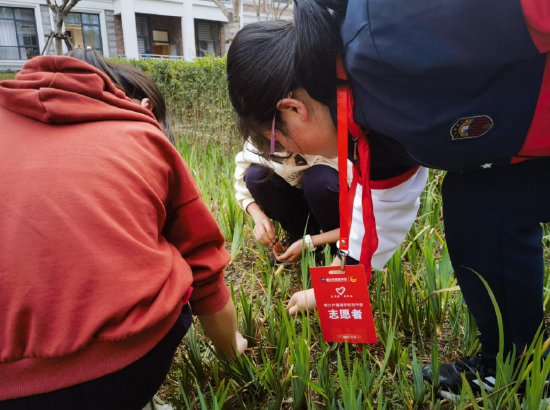 学生志愿者清除杂草