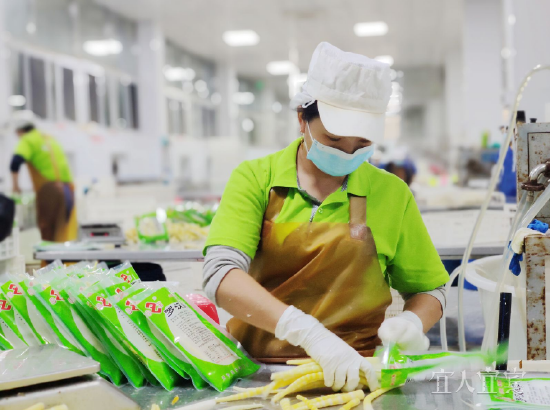 长宁县鑫益食品有限责任公司生产线