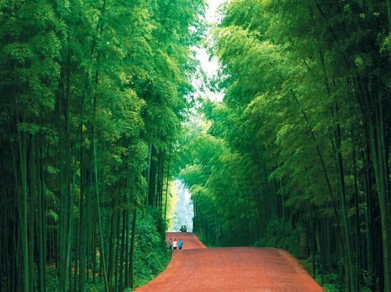 翡翠长廊