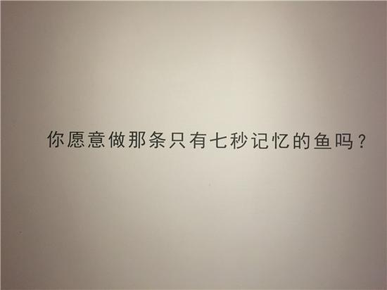 关于一条鱼的记忆 孙可卿不择手段传达观念