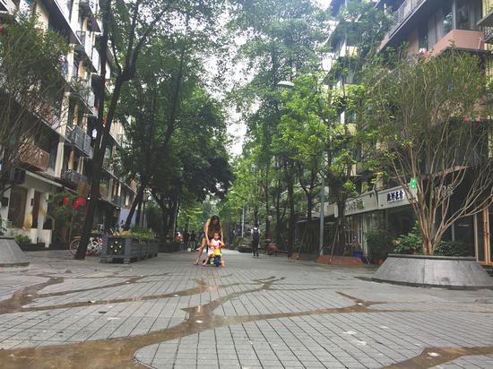 “商居联盟”的建立,让泡桐树街有了安静整洁的环境。