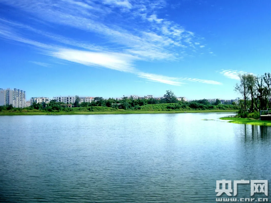 空港中央公园天蓝水绿,景色宜人。(双流区委宣传部 供图)