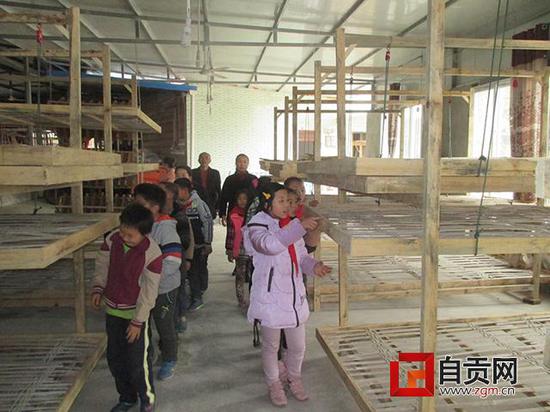 (图片来源自贡网)
