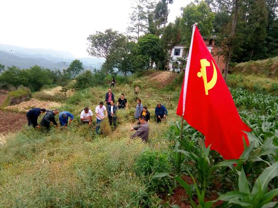 和高洞村党员群众一起共同劳动