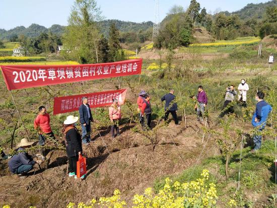 区农业农村局指导草坝镇九龙村产业技术培训