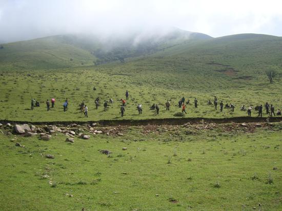 德昌有多少人口_沙井德昌电机车间图片(3)