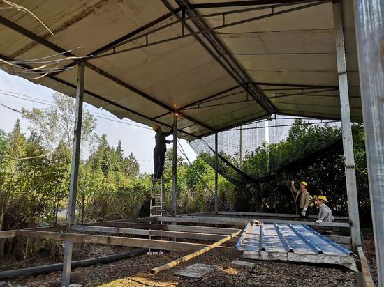(西城街道辦事處蓮山湖社區(qū)違法建設(shè)拆除中)