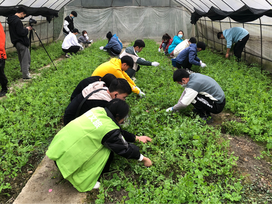 除草施肥