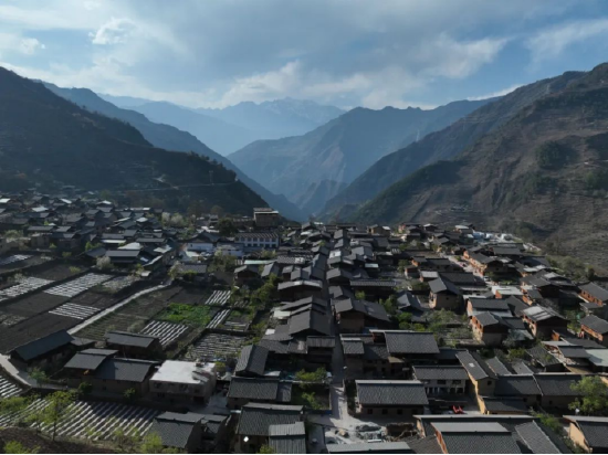 化林村全景