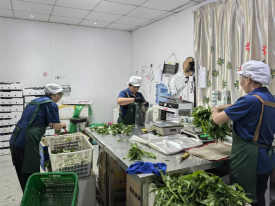 泉水村有机蔬菜基地里配有分拣打包车间。苏杭 摄