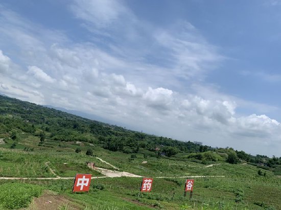 达州的中药种植基地