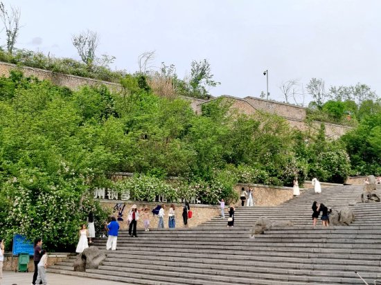 市民在音乐公园拍照打卡，