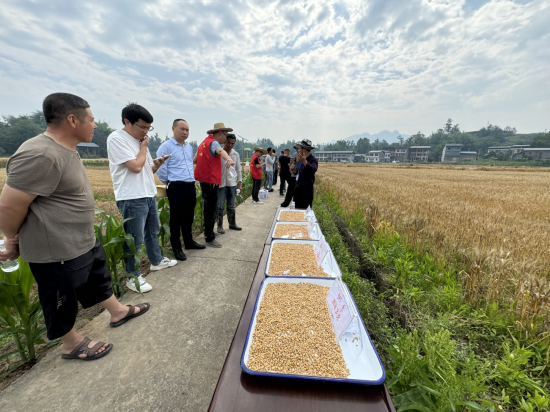 达川区小麦“一喷三防”项目示范成效田间&nbsp;| 观摩会现场