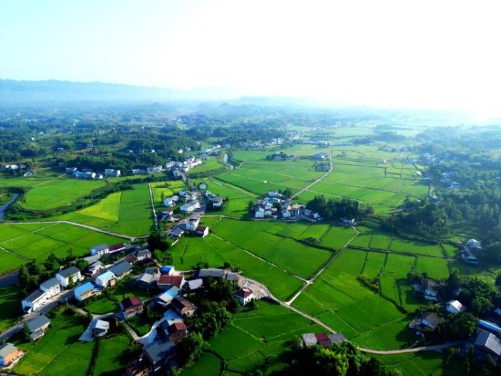 达川区粮油现代农业园区夏日盛景（拍摄于万家镇迎风村）