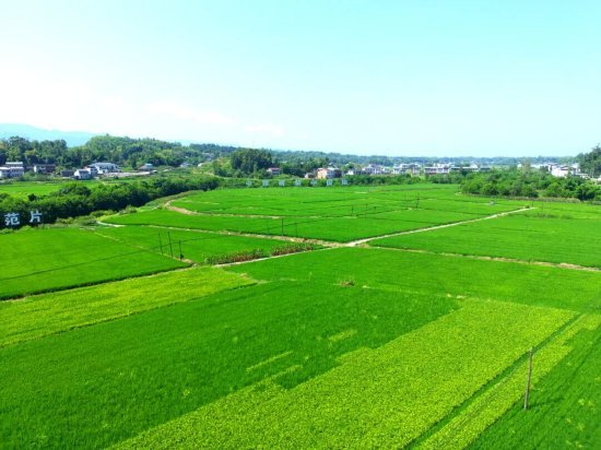 达川区粮油现代农业园区田园风光（拍摄于万家镇迎风村）
