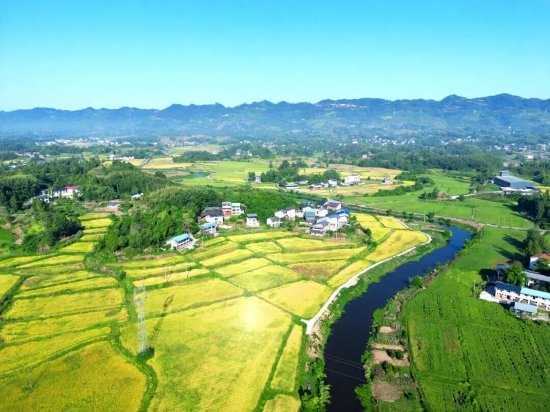 图为：达川区粮油现代农业园区一角（拍摄于大树镇新天村）