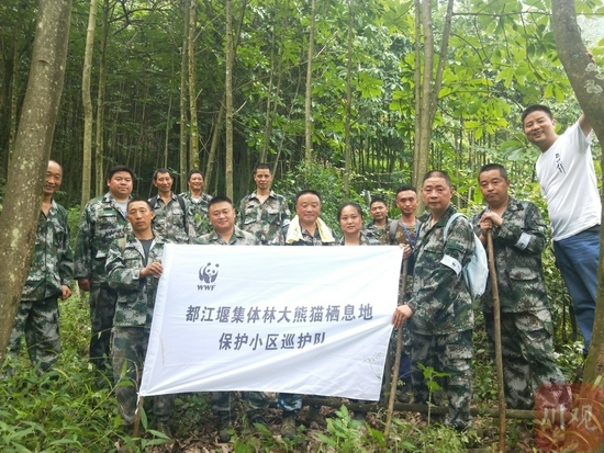 都江堰集体林大熊猫栖息地保护小区巡护队野外合影