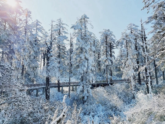 瓦屋山（景区供图）