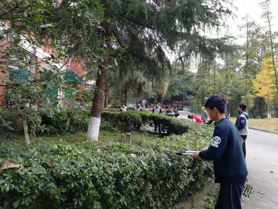 学生在校园里进行园艺修剪、除草