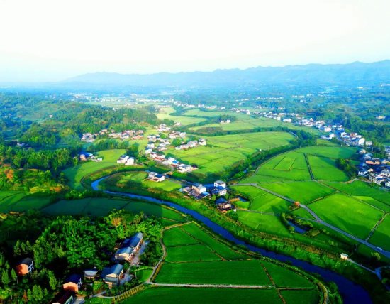 达川区粮油现代农业园区夏日盛景（拍摄于万家镇迎风村）