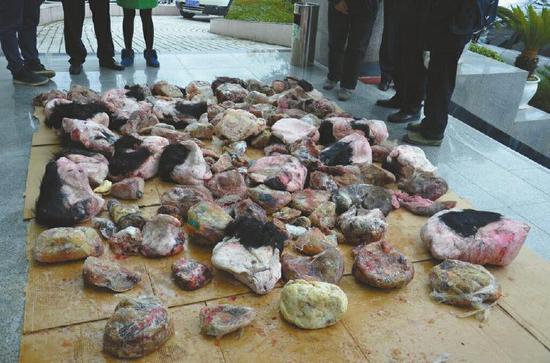 青川破获最大非法运输贩卖黑熊案 缴获熊肉一