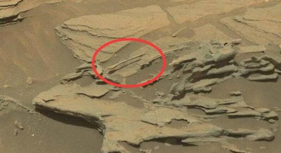 火星疑现啮齿动物,图为先前在火星拍摄得到的“悬浮的汤勺”