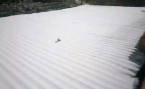 攀枝花城区再现雪影