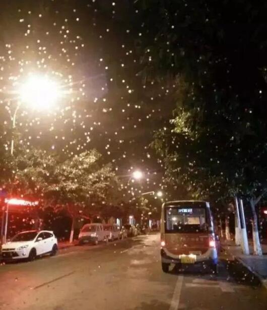攀枝花城区再现雪影