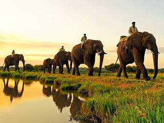 美食美景美女 泰国清迈自驾12日约起走!_成都