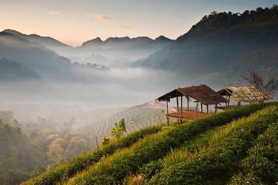 美食美景美女 泰国清迈自驾12日约起走!_成都