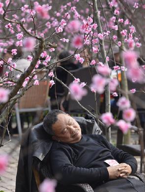 四川资讯_成都资讯_资讯中心