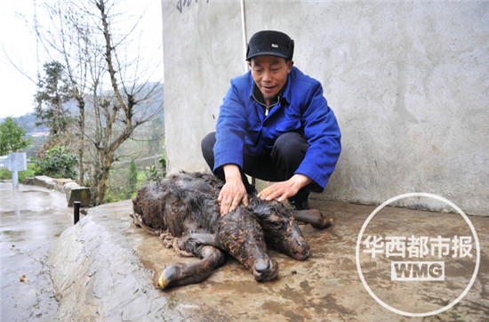 两个脑袋四只眼睛