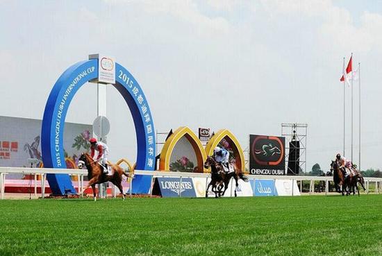 2016重大体育赛事云集成都 助推成都国际赛事