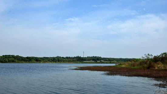 十陵青龙湖湿地公园