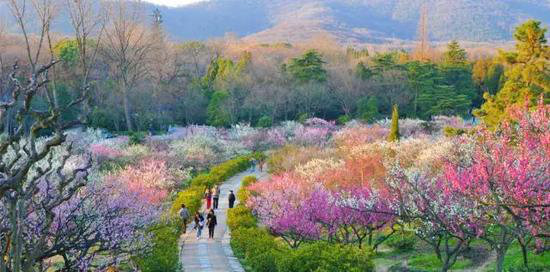 美到窒息 春天国内最美的自驾游的地方_成都汽