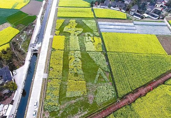 在广汉市西高镇用无人机航拍的“种植”于油菜花田中的“青铜大立人”图案