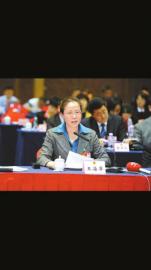 全国人大代表、省高院院长王海萍 四川日报记者何海洋摄