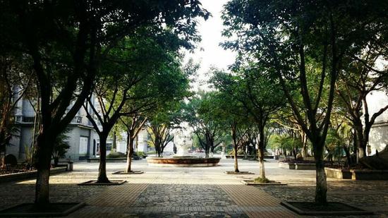 学校美景