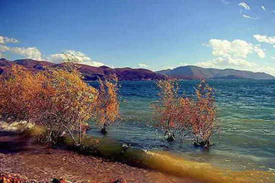 春天让我们来次说走就走的自驾旅行_成都汽车