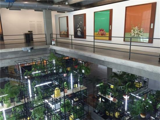 拉希德·约翰逊与塔灵·西蒙作品展览现场 图：Cait Munro.