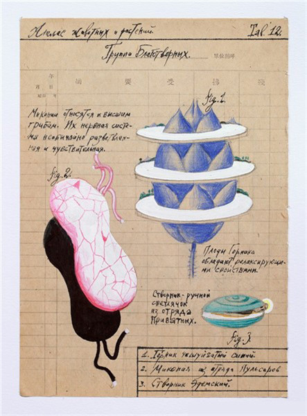 维克多·皮沃瓦罗夫，《动植物地图》(2015) 图：Collection of the artist