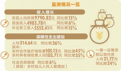 中国农民调查_农民收入与负担调查