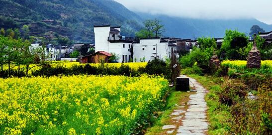 北京现代百城团购会-成都明嘉站火热开启_成都