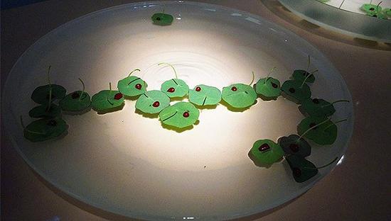 奇妙的味蕾体验，告诉你未来是什么味道&nbsp;